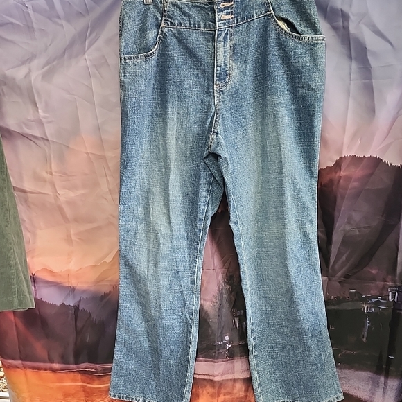 Mountain Lake Denim Flare Jeans - Picture 1 of 4